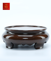 Đế Lư hương Filber